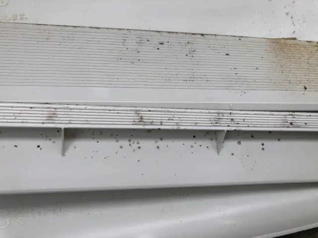 【カビ専門】暖房機能を使い始めるまえに、、、　安心の脱カビ、美味しい空気にサービスの画像