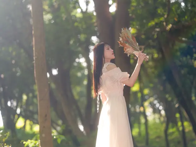 プロの技で思い出を鮮やかに残す撮影サービス