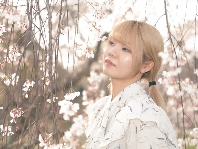 プロの技で思い出を鮮やかに残す撮影サービス