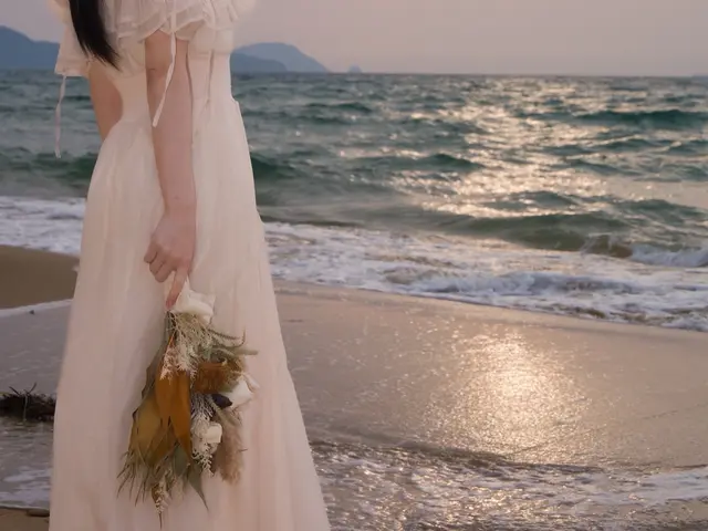 プロの技で思い出を鮮やかに残す撮影サービス