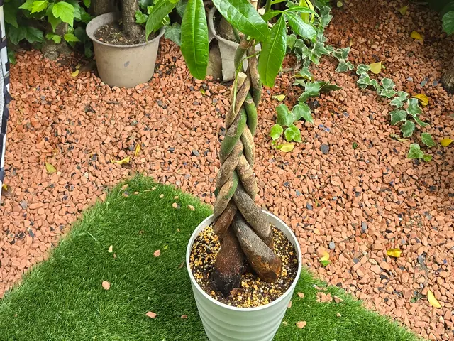 お見積り無料ですので、まずはお気軽にお問い合わせください❀サービスの画像