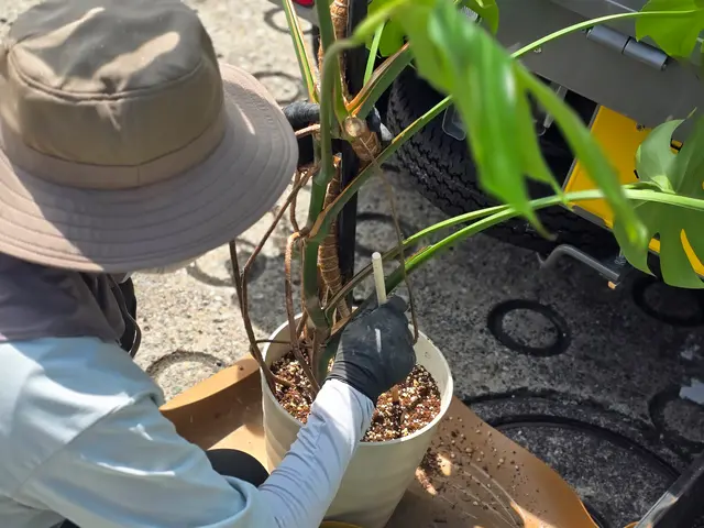 お見積り無料ですので、まずはお気軽にお問い合わせください❀サービスの画像