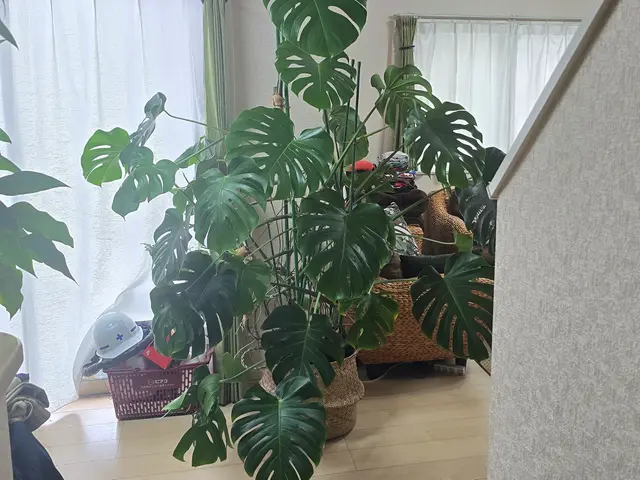 お見積り無料ですので、まずはお気軽にお問い合わせください❀サービスの画像