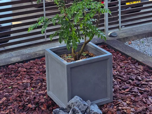 お見積り無料ですので、まずはお気軽にお問い合わせください❀サービスの画像