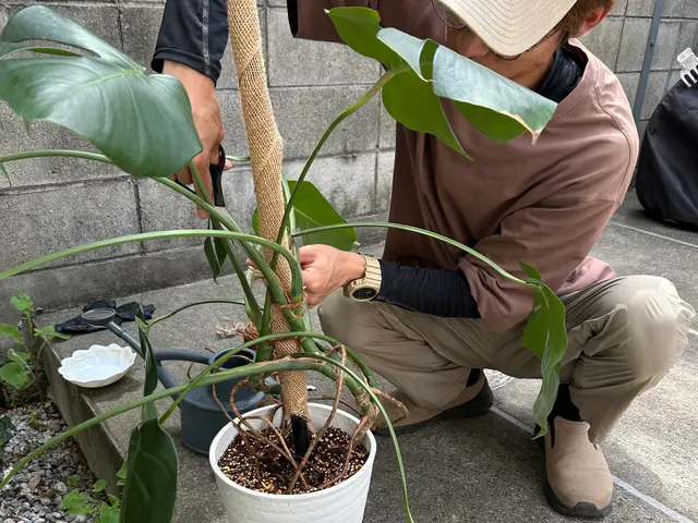 お見積り無料ですので、まずはお気軽にお問い合わせください❀サービスの画像