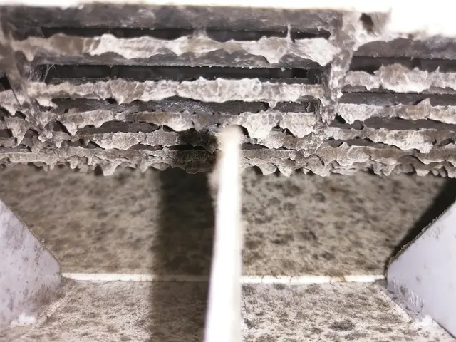 徹底洗浄！年間1200台 安心のエコ洗剤 抗菌コート無料！お掃除ロボ11500円サービスの画像