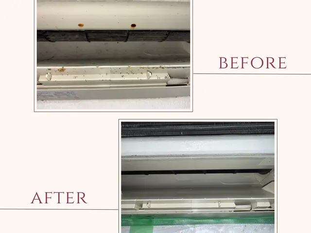 お子様やペットにも安心安全のエコ洗剤で超快適空間をお届け◎サービスの画像