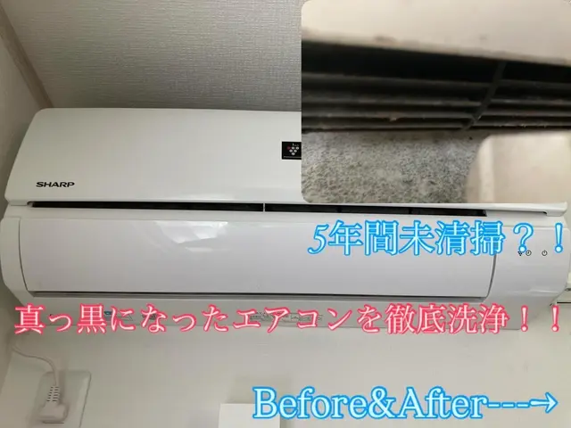 お子様やペットにも安心安全のエコ洗剤で超快適空間をお届け◎サービスの画像