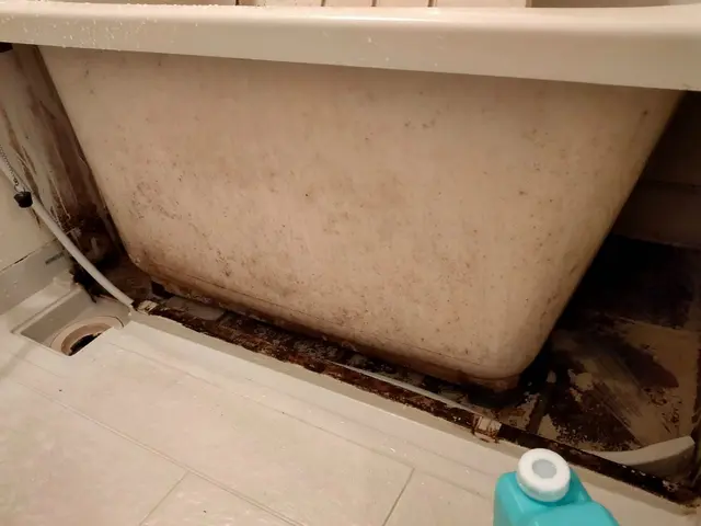 《あなたの暮らしの御用聞き》女性スタッフ在籍◇損害保険加入◇隅々まで徹底洗浄！サービスの画像