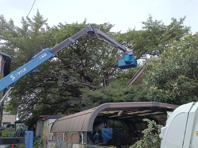【1級造園技能士】「虫がつきにくい、実がなりやすい、花が咲きやすい」を叶える剪定サービスの画像