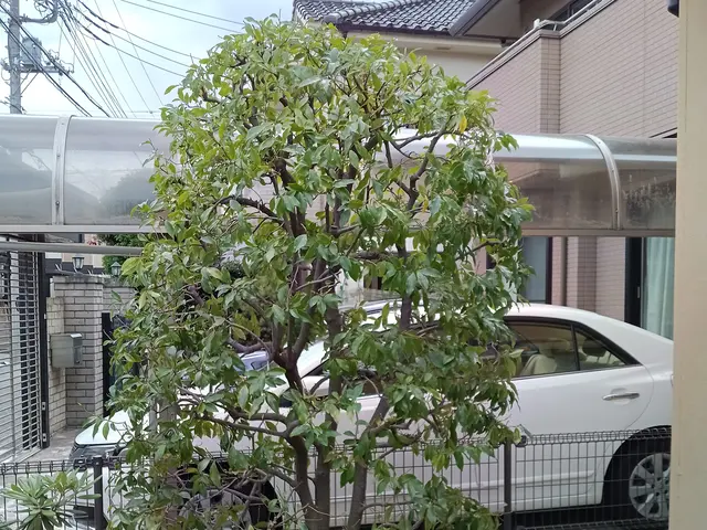 【1級造園技能士】「虫がつきにくい、実がなりやすい、花が咲きやすい」を叶える剪定サービスの画像