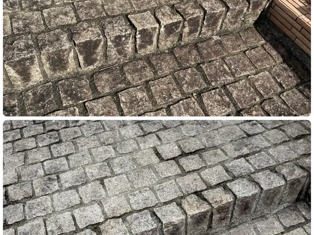 玄関タイル、アプローチなど黒ずみをキレイに高圧洗浄で仕上げますサービスの画像