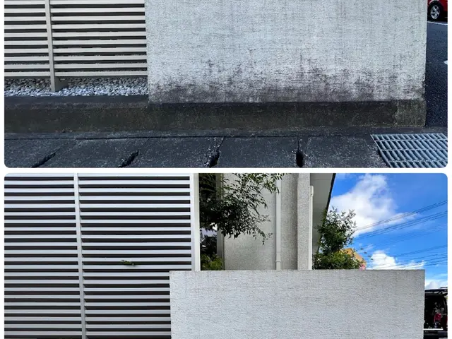 玄関タイル、アプローチなど黒ずみをキレイに高圧洗浄で仕上げますサービスの画像