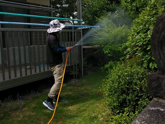 樹木の消毒サービスの画像