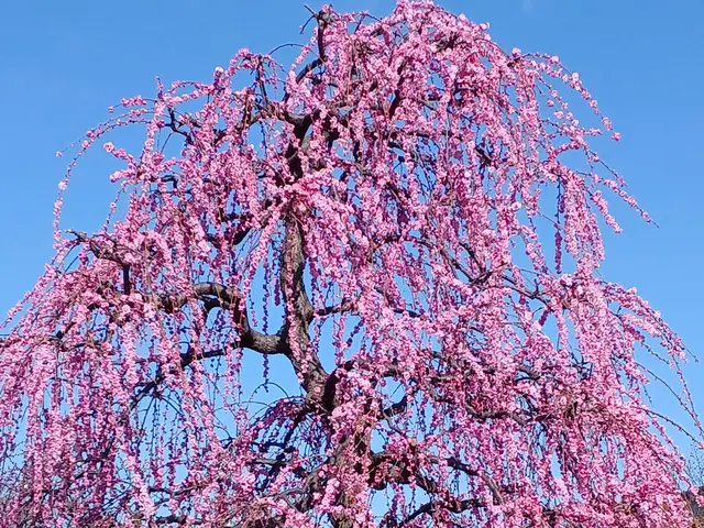 【業歴25年の実績】◎熟練職人が迅速丁寧に仕上げます！サービスの画像