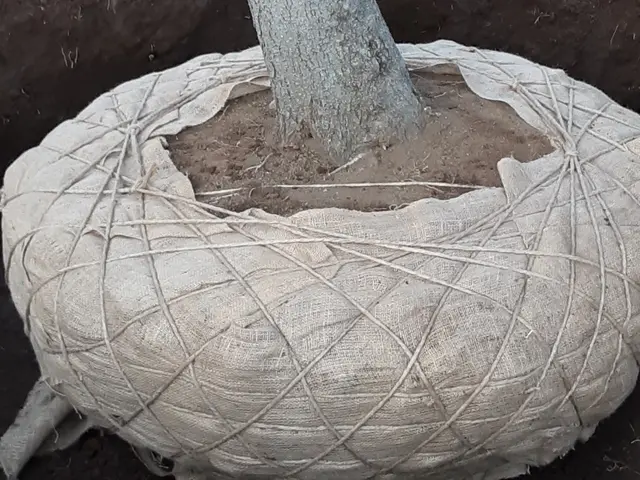 【業歴25年の実績】◎熟練職人が迅速丁寧に仕上げます！サービスの画像