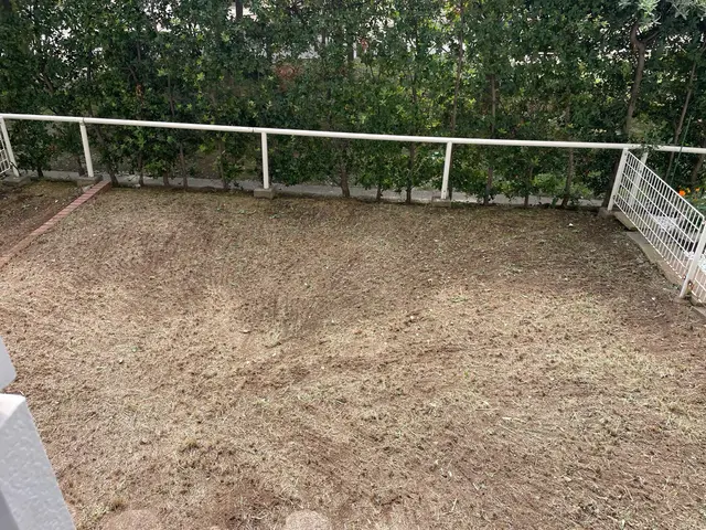 処分料金特別価格！夏の暑くなる前にお庭をスッキリしませんか？サービスの画像