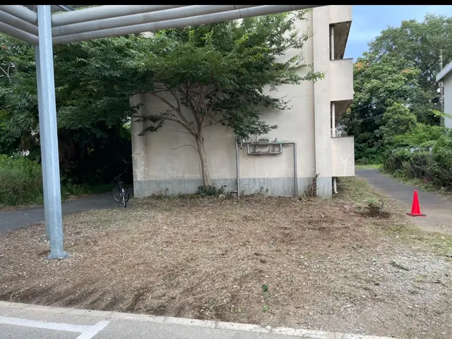 処分料金特別価格！夏の暑くなる前にお庭をスッキリしませんか？サービスの画像