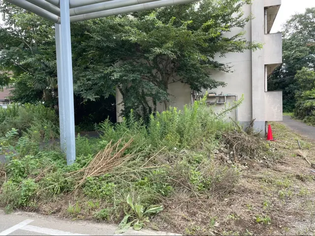 処分料金特別価格！夏の暑くなる前にお庭をスッキリしませんか？サービスの画像