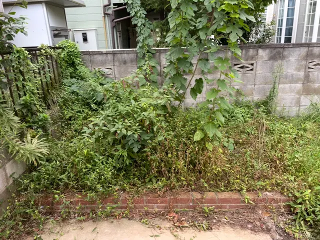 処分料金特別価格！夏の暑くなる前にお庭をスッキリしませんか？サービスの画像