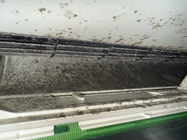 『現金払いで抗菌コート無料◎』ほんでぃのエアコンクリーニング♪サービスの画像