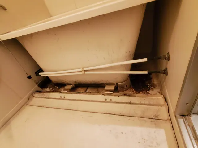 引越　出産　退去に早割水回り清掃　秋サービス　当日決済2000円値引き中サービスの画像