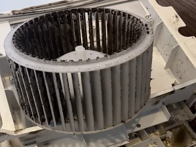 超お得☆【地域最安値挑戦中！】☆口コミにて過去のお声ご覧になれます！サービスの画像