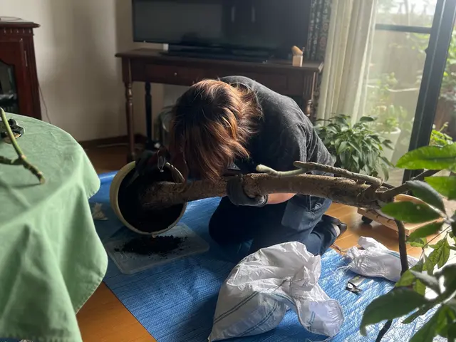 【夫婦で営む植物屋さんが訪問◎】大きな鉢や複数依頼も大歓迎！管理のアドバイスも！サービスの画像