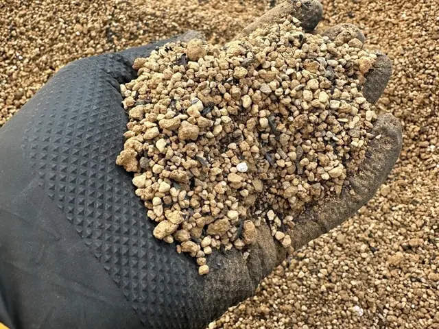 【夫婦で営む植物屋さんが訪問◎】大きな鉢や複数依頼も大歓迎！管理のアドバイスも！サービスの画像