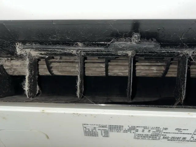 【エリア外も相談可能です！】女性スタッフ同行可◎損保加入済◎写真報告も可能◎サービスの画像