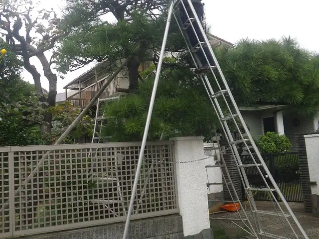 【土日祝日も対応！駐車場代無料】27年のベテラン庭師の私が伺います！サービスの画像