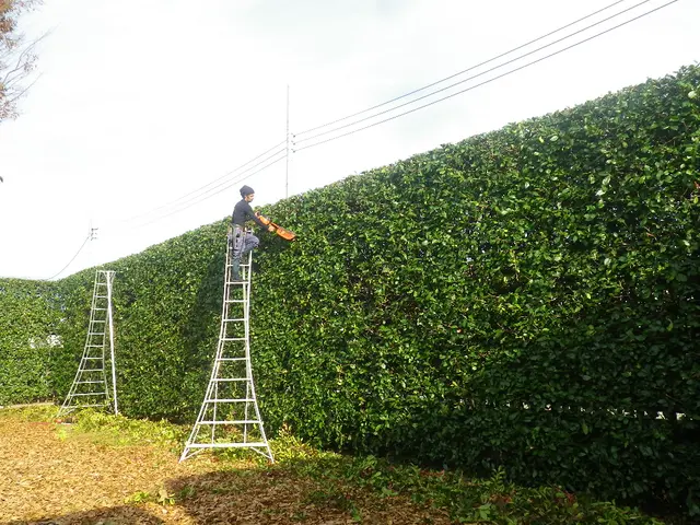 【土日祝日も対応！駐車場代無料】27年のベテラン庭師の私が伺います！サービスの画像