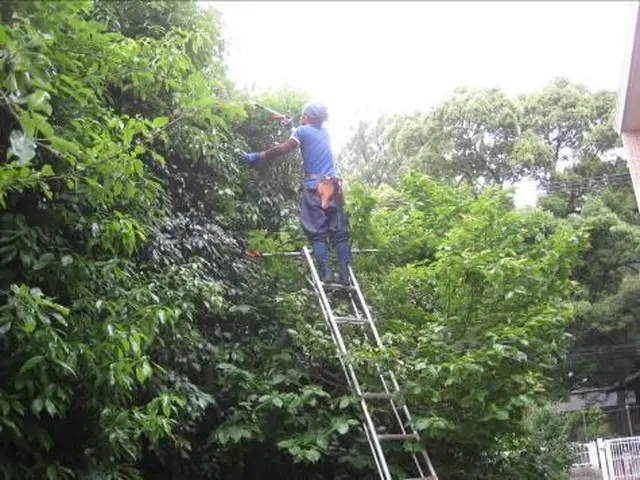 【土日祝日も対応！駐車場代無料】27年のベテラン庭師の私が伺います！サービスの画像