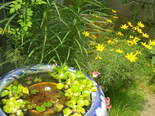 【土日祝日も対応！駐車場代無料】27年のベテラン庭師の私が伺います！サービスの画像