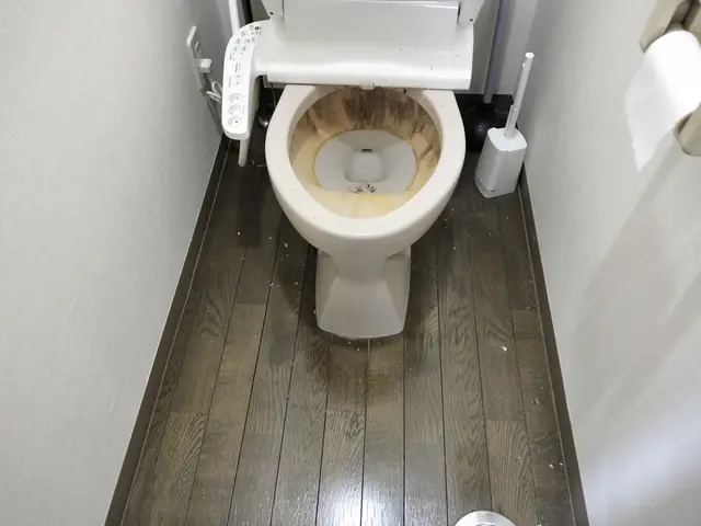 【空室清掃/5月空き枠あり】退去後、入居前の清掃。お客様を綺麗な空間でお出迎え！サービスの画像