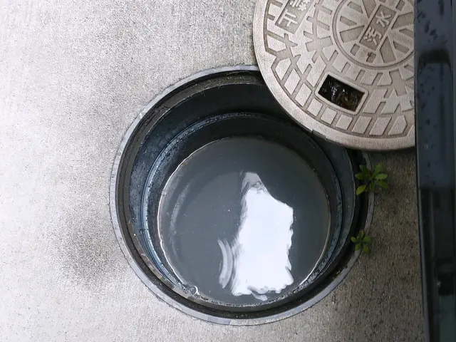 【女性スタッフ同行OK】大阪市都島区発◎年中無休で即対応◎損害保険加入済◎サービスの画像