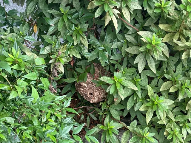 安全を考慮しプロの技術でご満足いただけるように心を込めて作業いたしますサービスの画像