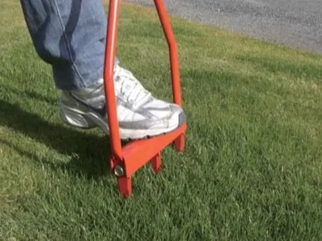 芝生エアレーションのご依頼を喜んで賜ります！マンション専用庭もお任せください！サービスの画像