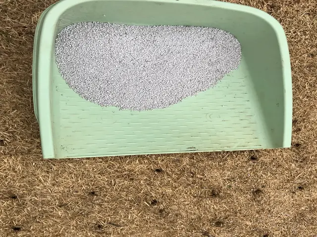 芝生エアレーションのご依頼を喜んで賜ります！マンション専用庭もお任せください！サービスの画像