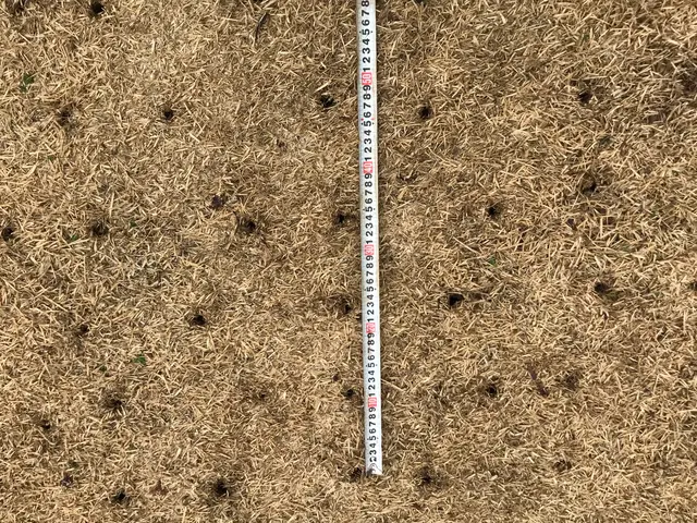 芝生エアレーションのご依頼を喜んで賜ります！マンション専用庭もお任せください！サービスの画像