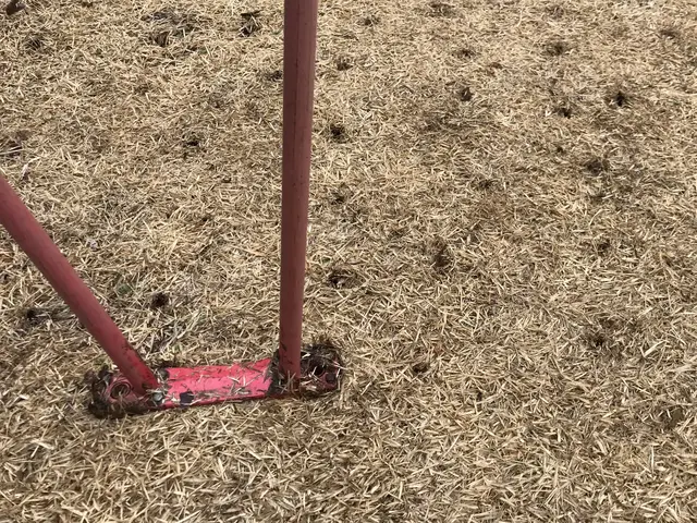 芝生エアレーションのご依頼を喜んで賜ります！マンション専用庭もお任せください！サービスの画像