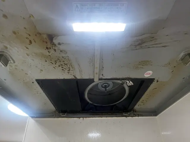 【9/29〜可能】キッチン換気扇洗浄（その他水回りも可能）サービスの画像