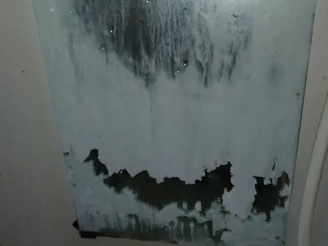 『キレイにしたいけど…』そんなあなたのお悩み、当店にお聞かせください☆彡サービスの画像