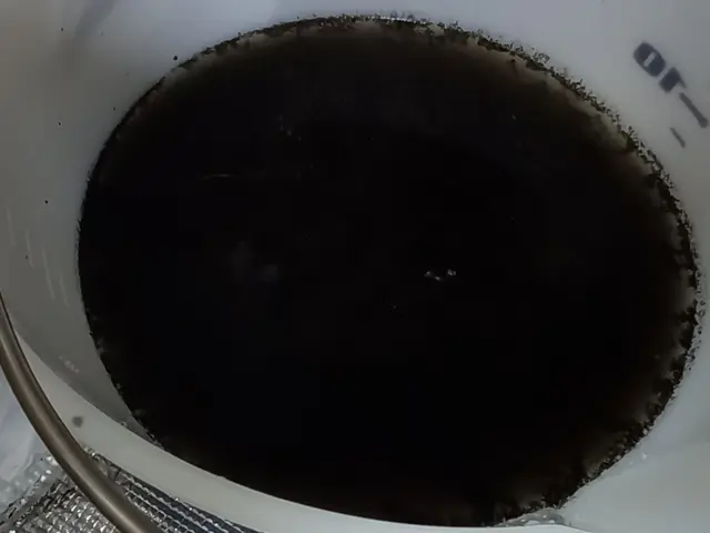 ●お子様、高齢者、ペットも安心洗浄！●《11月限定》現金払いで消臭抗菌コート無料サービスの画像