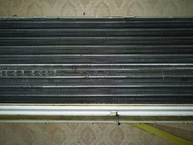 ●お子様、高齢者、ペットも安心洗浄！●《11月限定》現金払いで消臭抗菌コート無料サービスの画像