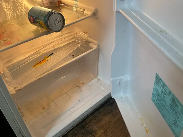 【経験28年の実績】おうち冷蔵庫クリニックサービスの画像