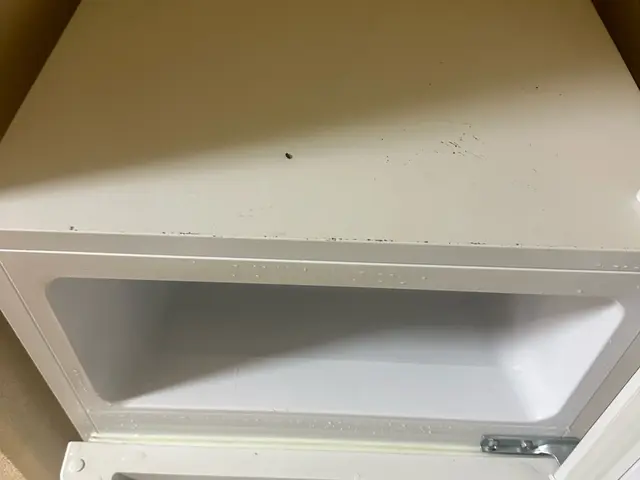 【経験28年の実績】おうち冷蔵庫クリニックサービスの画像