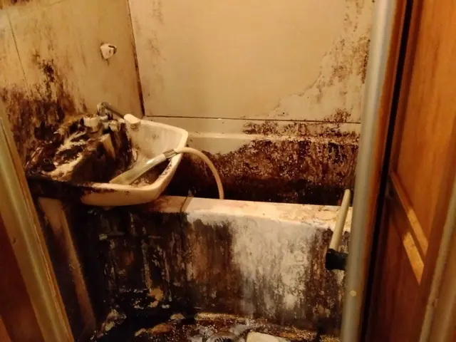 空室クリーニングはお任せください。サービスの画像