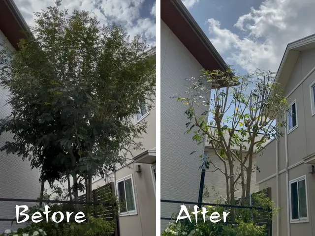 【10%割引中！】地域密着で年間150件以上の実績！お庭の草刈りはお任せ下さい！サービスの画像