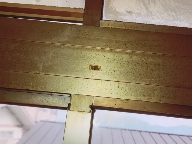 法人店舗◎窓ガラスが綺麗になるだけで、お家の雰囲気すら変わります★サービスの画像